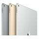 iPad Pro