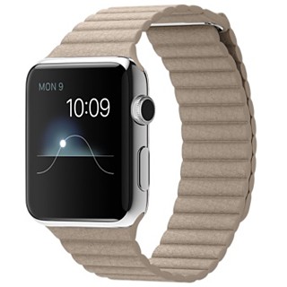 Apple Watch 42mm Stainless Steel Case Stone Leather Loop (MJ432-442)