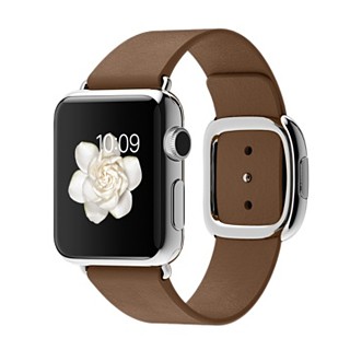 Apple Watch 38mm Stainless Steel Case Brown Modern Buckle (MJ3A2)