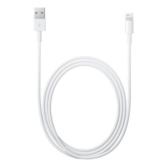 Apple Lightning to USB Cable (1m)