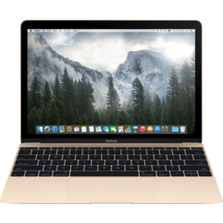 Apple MacBook Gold 12" MK4M2