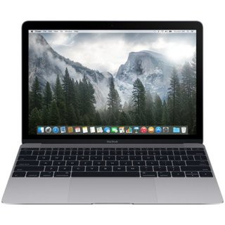 Apple MacBook Space Grey 12" MJY42