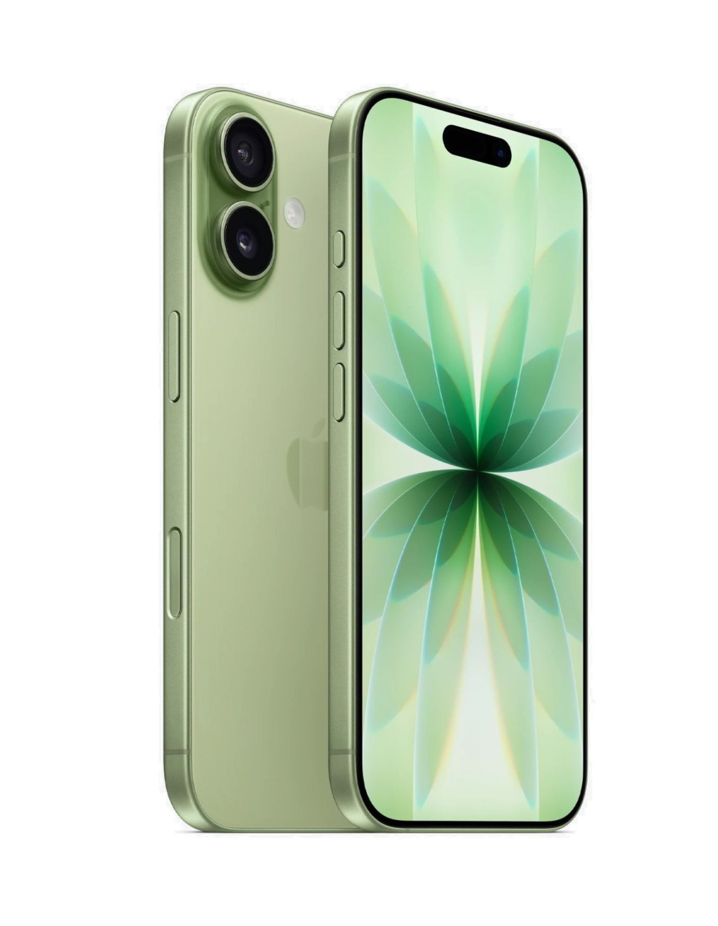 iPhone 17 256Gb Sage (MG6N4)