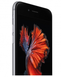 Apple iPhone 6S 16GB Space Gray (MKQJ2)