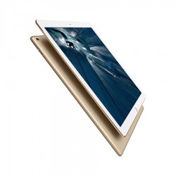 Apple iPad Pro Wi-Fi 128GB Gold (ML0R2)