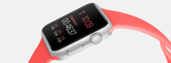 Apple Watch 38mm Silver Alluminum Case Pink Sport Band (MJ3T2)