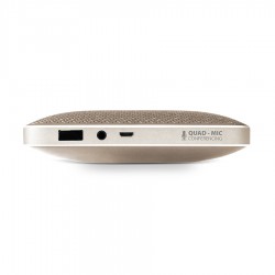 Harman Kardon One Gold