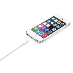Apple Lightning to USB Cable (1m)