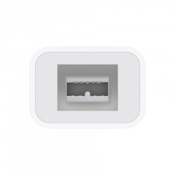 Apple Thunderbolt to FireWire Adapter