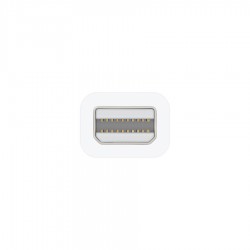 Apple Thunderbolt to FireWire Adapter