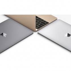 Apple MacBook Gold 12" MK4N2