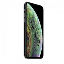 iPhone Xs 256Gb Space Gray  (MT9H2)
