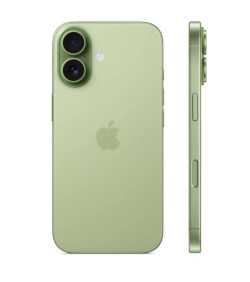 iPhone 17 256Gb Sage (MG6N4)